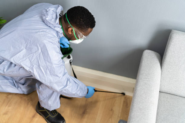 Best Real Estate Pest Inspections  in Wright, FL